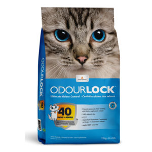 Intersand Odour Lock